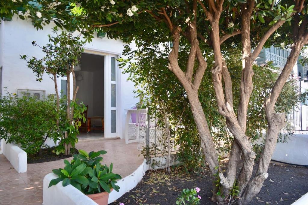 Playa Chica Apt With Terrace 100 M From The Sea 푸에르토 델 카르멘 외부 사진